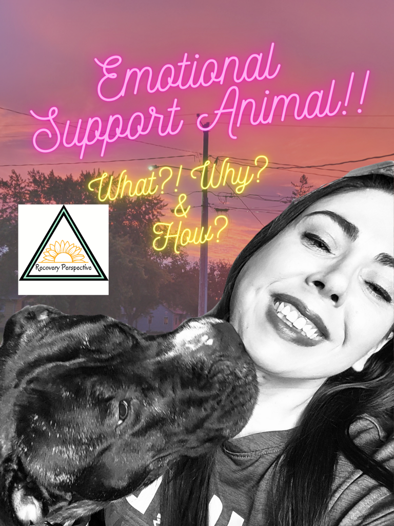Having an ESA while in Recovery: Paw-sitively Life Changing!